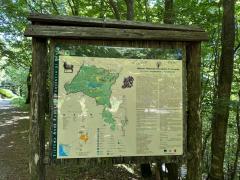 Camminata ecologica