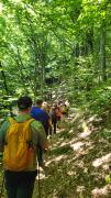 Camminata ecologica