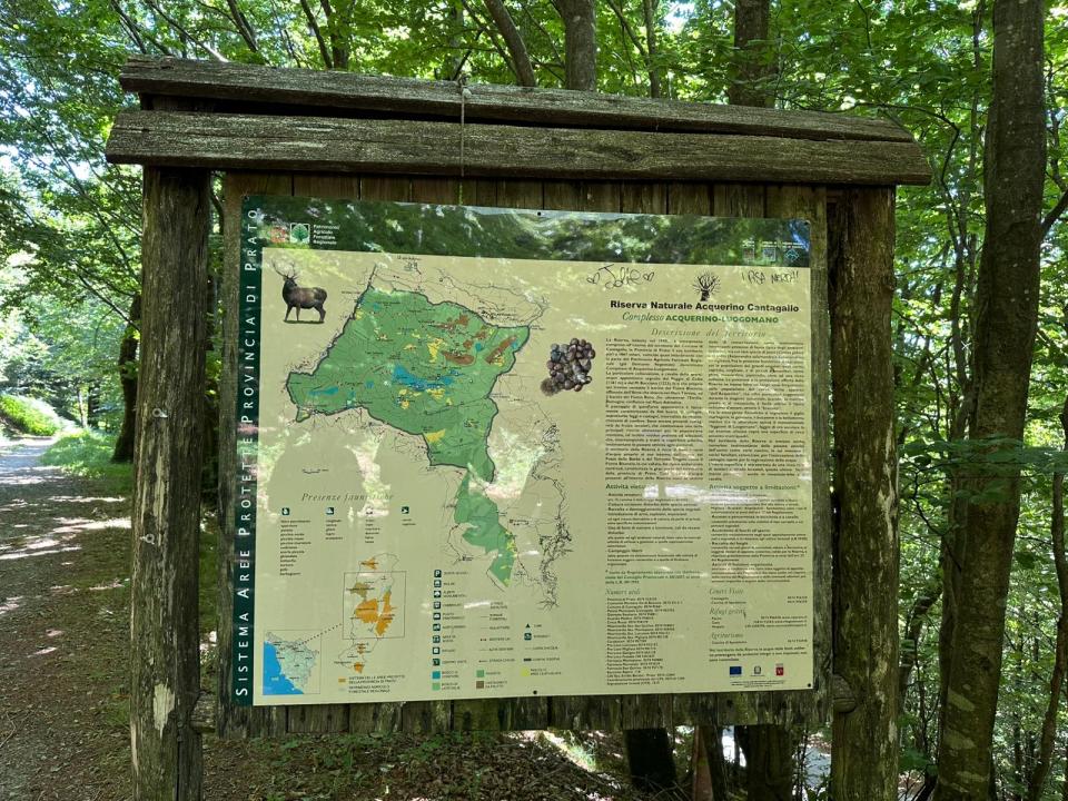Camminata ecologica