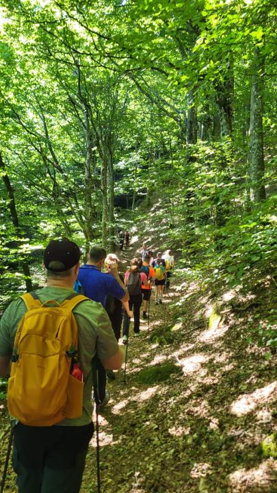 Camminata ecologica